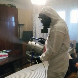 Дезинфекция от клопов в Воркуте