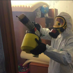 Уничтожение клопов в квартире. Воркута